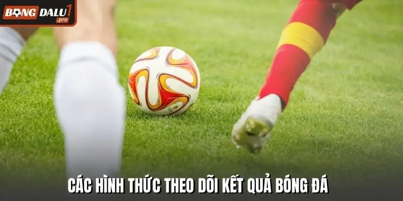 Các hình thức theo dõi kết quả bóng đá